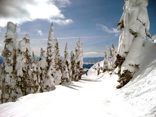 packed trail